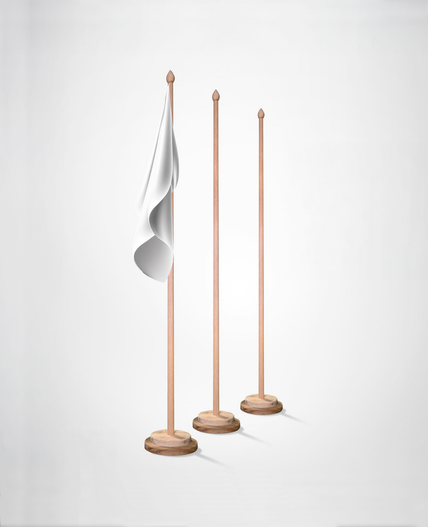 Flag pole - Office